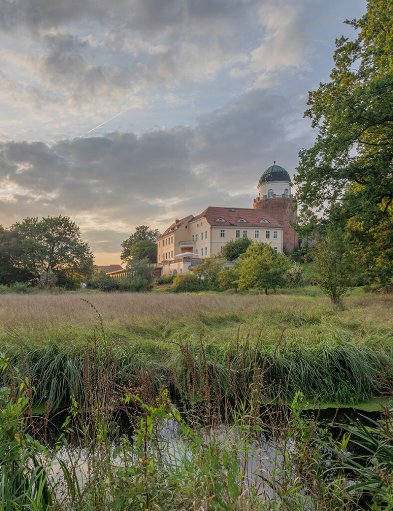 Veganes Retreat mit Yoga on Beat, Yoga Beat Fusion Yoga Choreografie mit Barbara Pascaly in Brandenburg