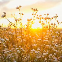 Veganes Retreat mit Yoga on Beat, Yoga Beat Fusion Yoga Choreografie mit Barbara Pascaly in Brandenburg