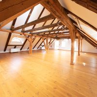 Veganes Retreat mit Yoga on Beat, Yoga Beat Fusion Yoga Choreografie mit Barbara Pascaly in Brandenburg