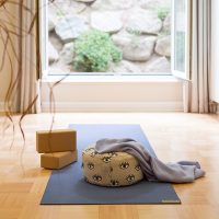 Das Vju Hotel auf Rügen als Ort für die Wochenend-Retreats von Barbara Pascaly. 8 Stunden Vinyasa Flow, Yin Yoga, Trigger Point Release und Yoga on Beat.